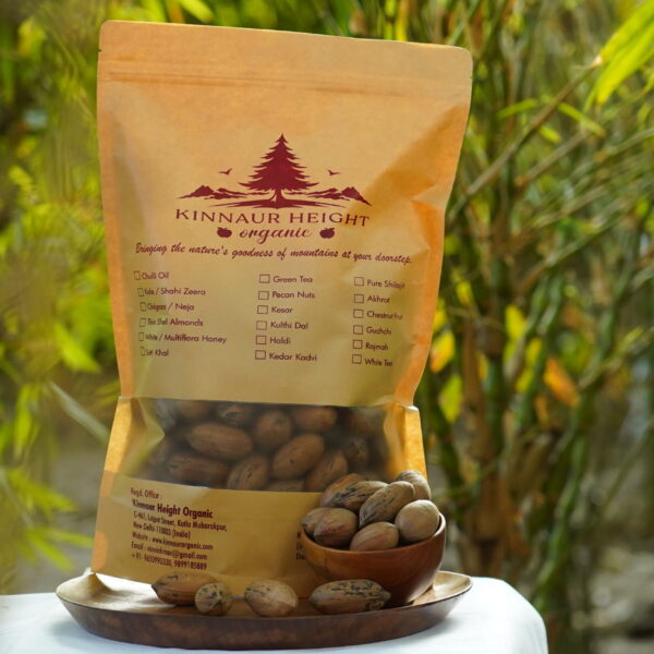 PECAN NUTS